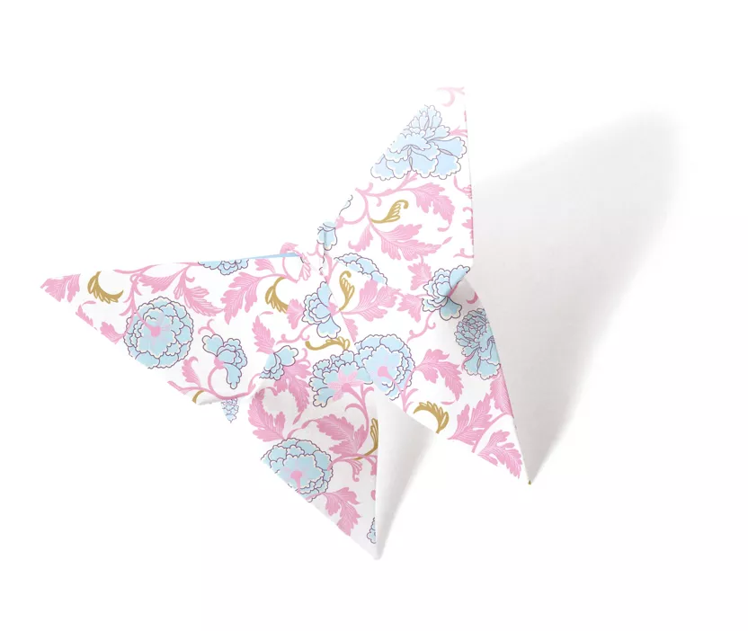 Pochette 40 feuilles Origami (20x20) - Papillons
