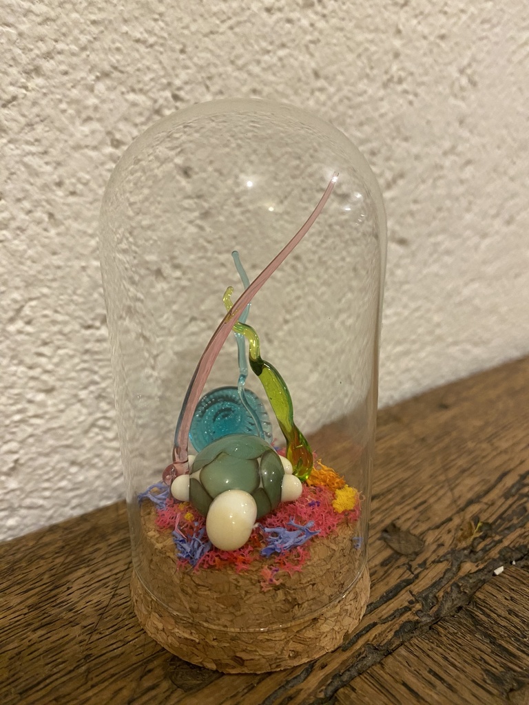 Monde marin - Tortue sous cloche