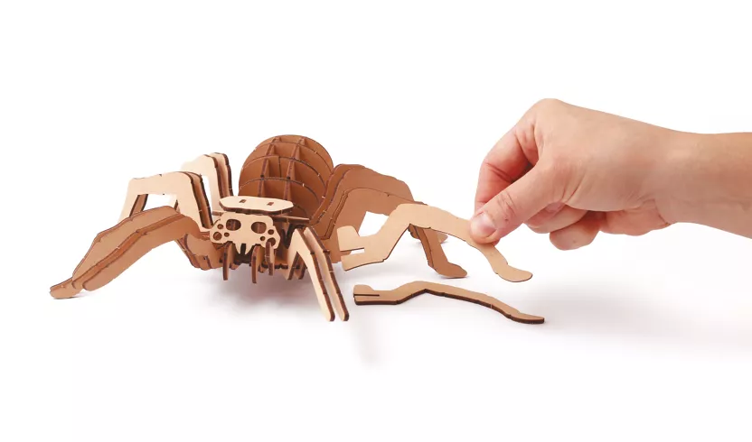 Maquette en bois 3D - Araignée