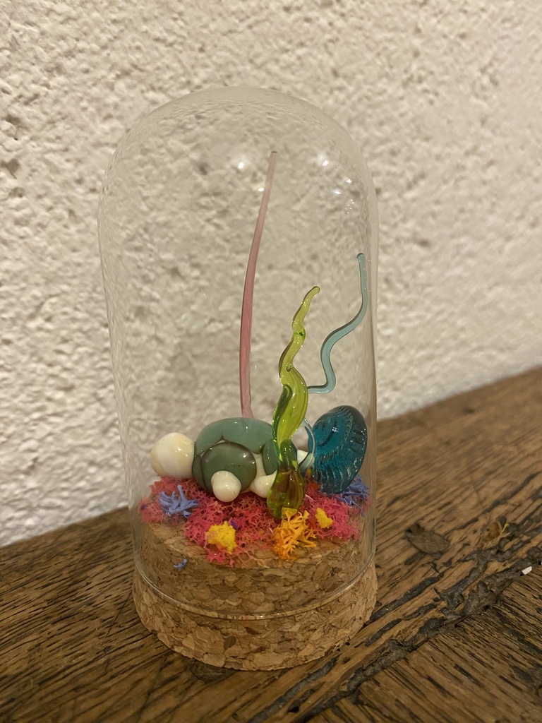 Monde marin - Tortue sous cloche
